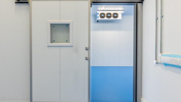 d8023c7a-b52d-453e-8a08-1f981ea6a7f5